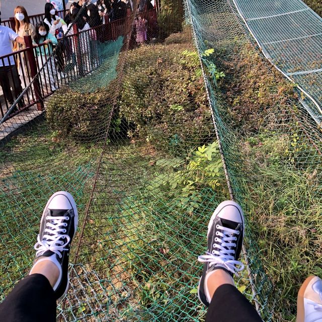 용인 [에버랜드]