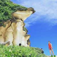 White Rock Formation