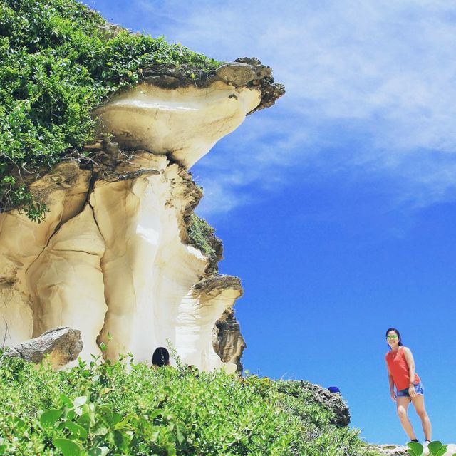 White Rock Formation