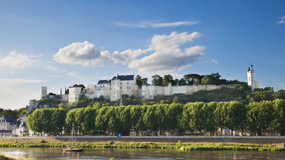Castle de Chinon