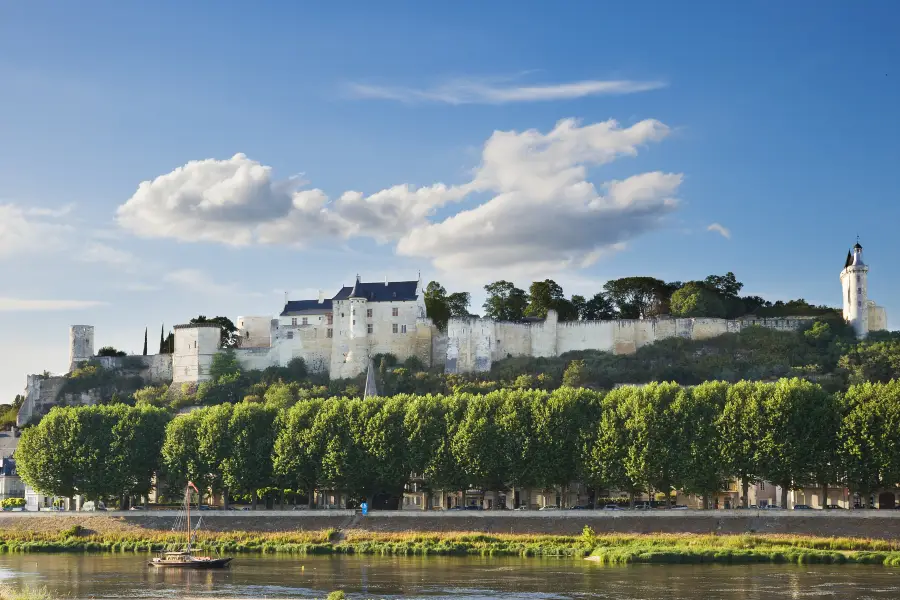 Castle de Chinon