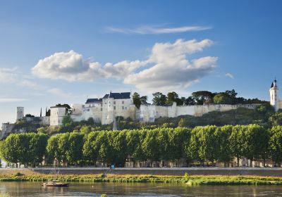 Forteresse Royale de Chinon