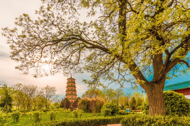 Baota Park