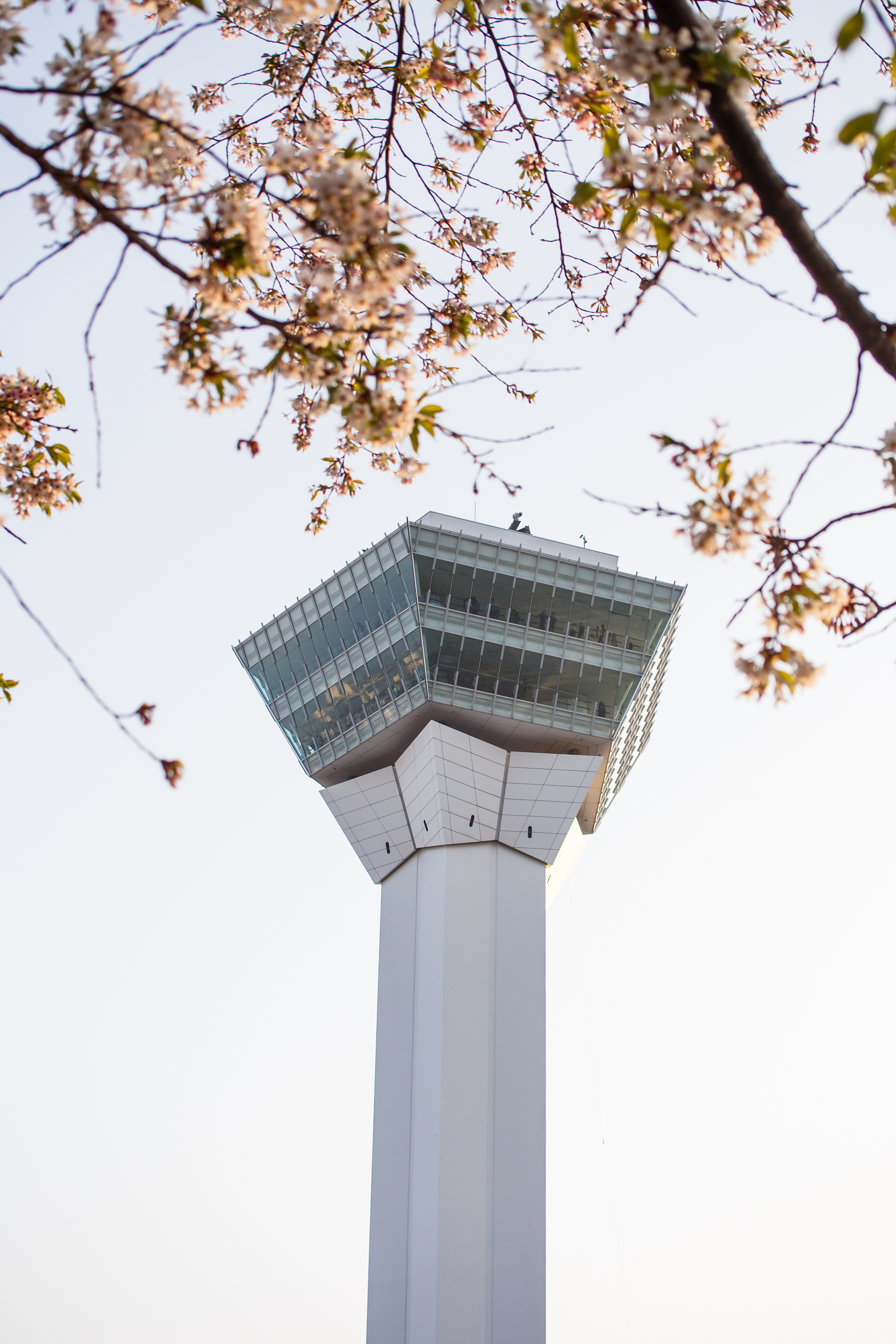 北海道 五稜郭タワー 入場Eチケット（引換券）予約