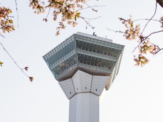 Goryōkaku Tower