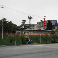 人民公社柴火鸡 User Photo