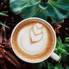 Flour Bakery + Cafe User Photo