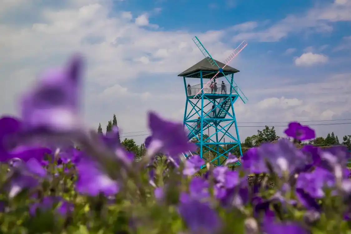 Hotels near Guanghan Miracle Flower Field