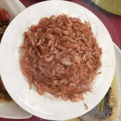 Sterne張用戶圖片