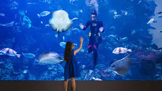 珠海長隆度假區橫琴灣飯店美食券家庭票2大1小海豚自助餐早/午/晚)