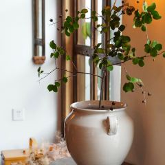 Soul kitchen User Photo