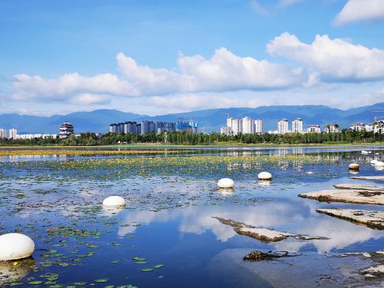 青華湖公園