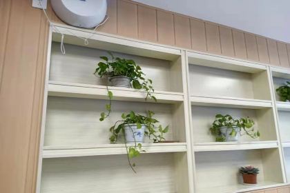 华莱士·全鸡汉堡(朝天店)