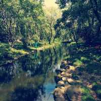 Gongqing Forest Park Shanghai Nature Bli