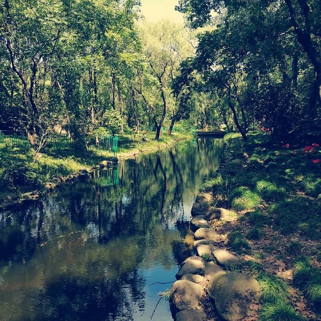 Gongqing Forest Park Shanghai Nature Bli