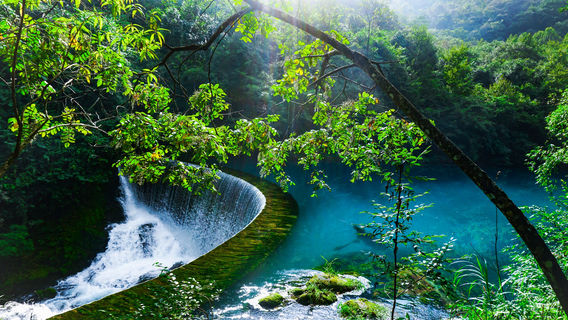 Wolong Valley Drifting