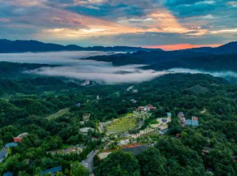 Bifengxia Wildlife Park