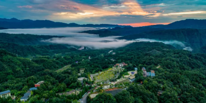 碧峯峽野生動物世界