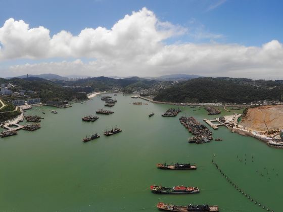 Dongsha Fishing Port