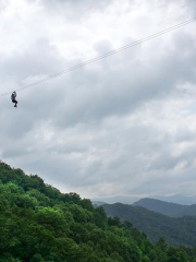 Navitat Canopy Adventures - Asheville Zipline