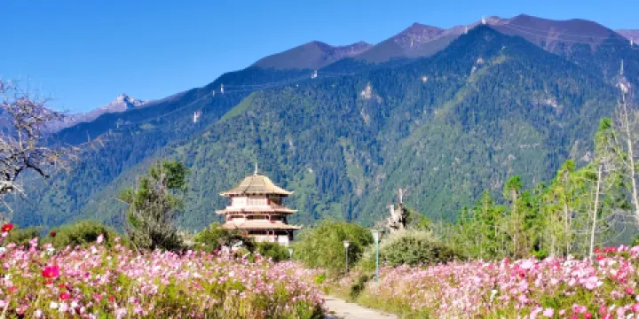 尼洋閣藏東南文化博覽園