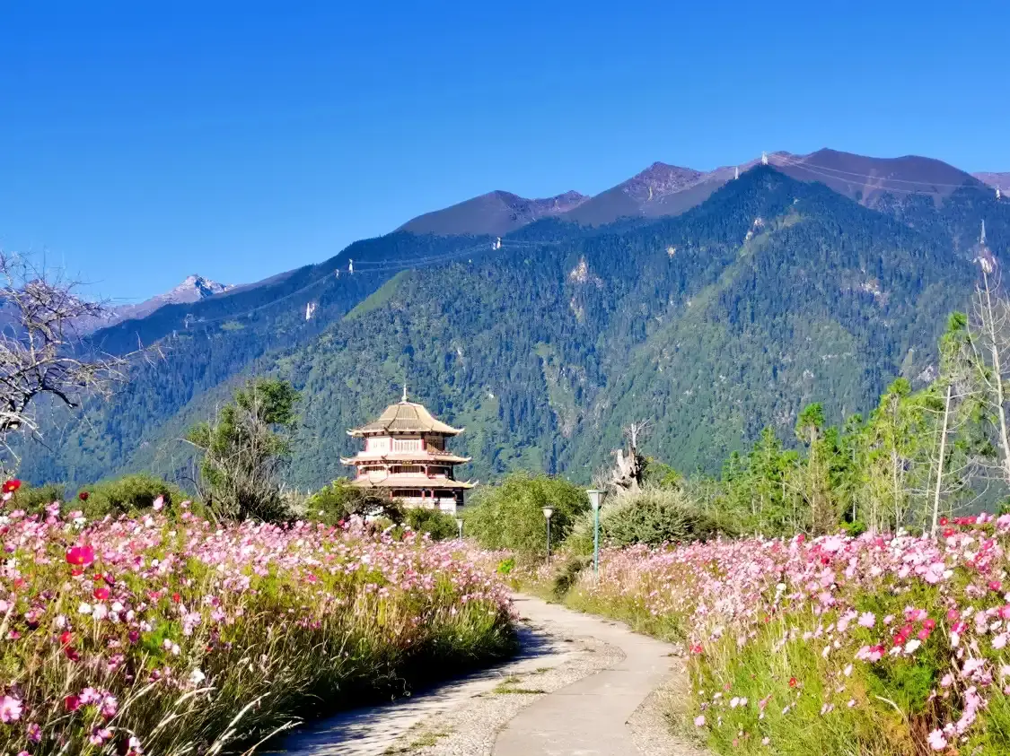 Hotels near Niyangge Southeast Tibet Cultural Expo Park