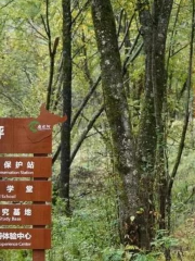 Baixiongping, Tangjiahe National Natural Reserve
