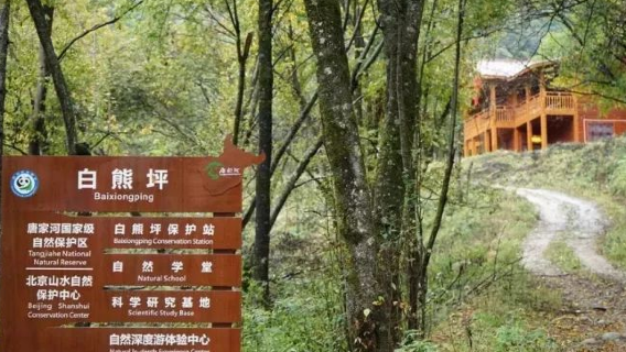 Baixiongping, Tangjiahe National Natural Reserve
