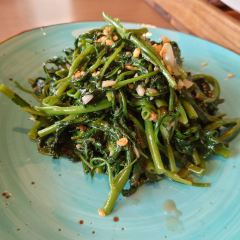 The Spice User Photo