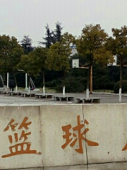 Basketball Square