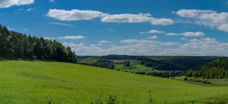 Campanile properties in Lorraine