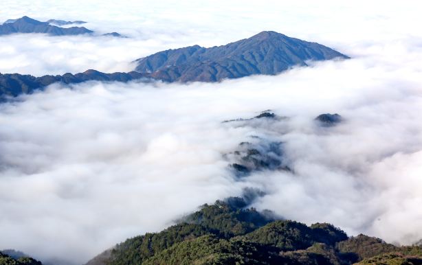 Leigong Mountain National Forest Park