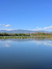 Dalishi Luoshijiang Ecology Wetland