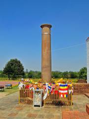 Ashoka Pillar