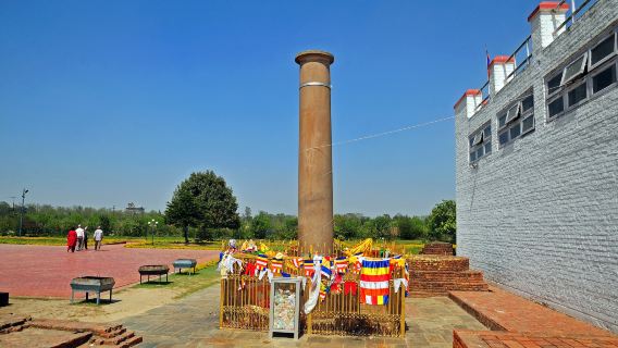 Ashoka Pillar