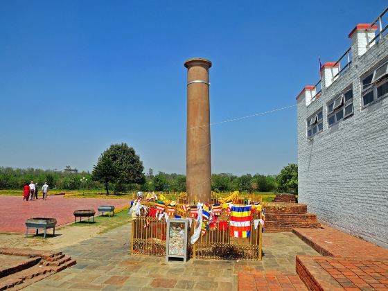 Ashoka Pillar