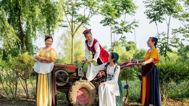 Provence Lavender Estates