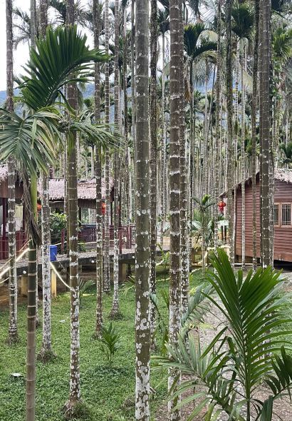 七仙黎家乐·农家乐