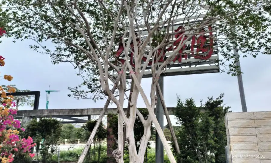 Daliang Bonsai Garden