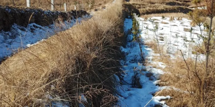 戰國秦長城博物館