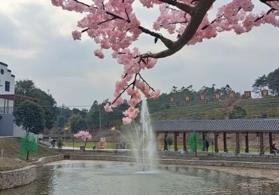 Экологический парк развлечений в Дайчжоу, Хуанчжоу