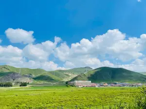 Zhengyang Grassland