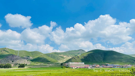 Zhengyang Grassland