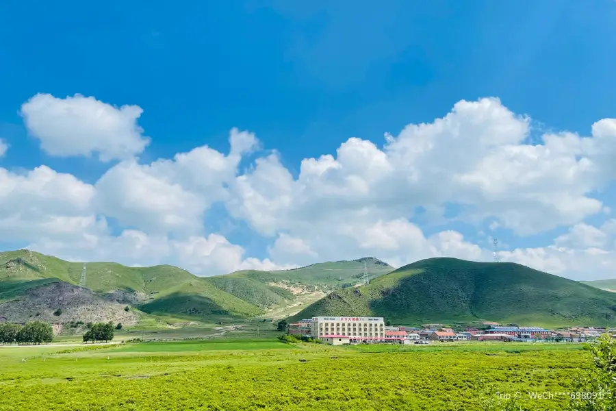 Zhengyang Grassland