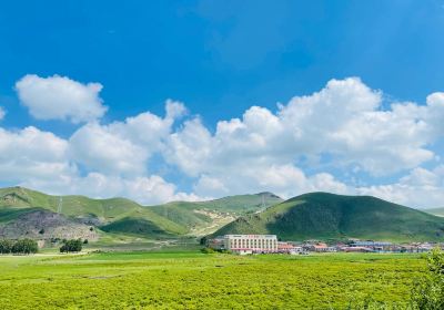 Zhengyang Grassland