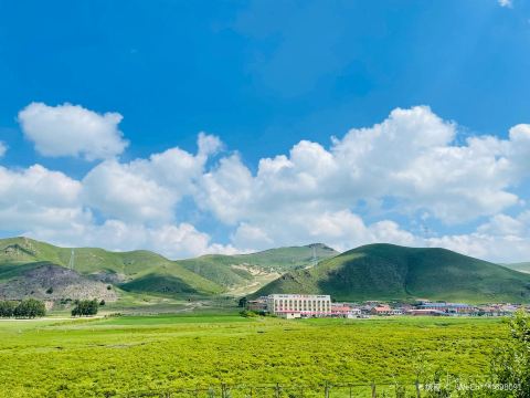 Zhengyang Grassland