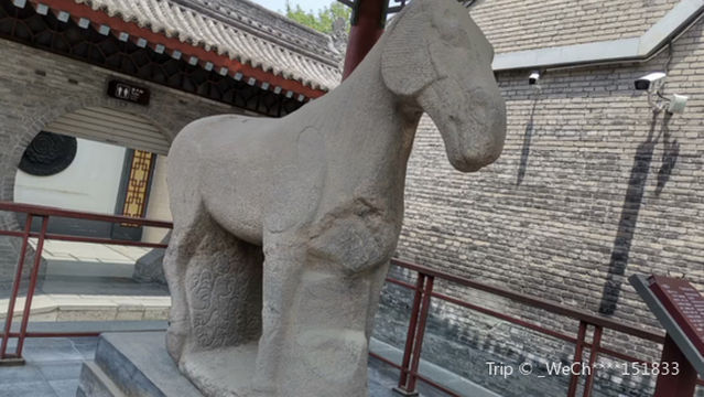 Xi'an Beilin Museum - Daxia Stone Horse