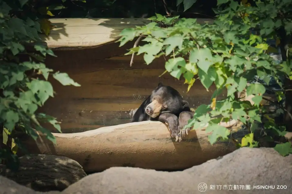 3_新竹市立動物園