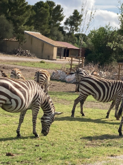 ナルボネーズ・アン・メディトゥラネ自然公園