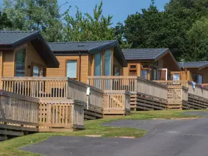 Lady's Mile Holiday Park